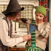 Die Abenteuer von Pettersson und Findus