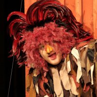 Die Abenteuer von Pettersson und Findus