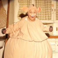 Die Abenteuer von Pettersson und Findus