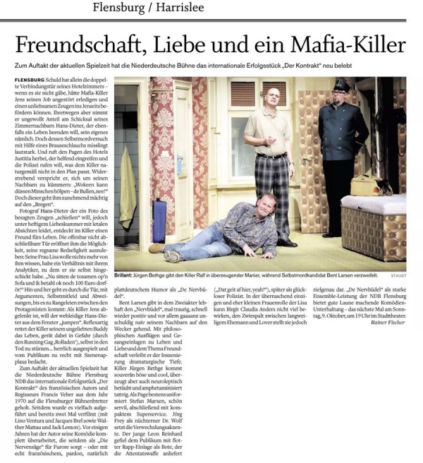 De Nervbüdel shz_web