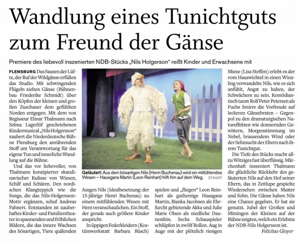 Nils Holgersson Kritik im shz