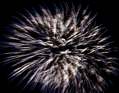 Silvester (Foto: Jenny Biermann)